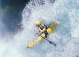 中国体育彩票：海港伤病危机浮出水面，五大主力无缘国际热身赛