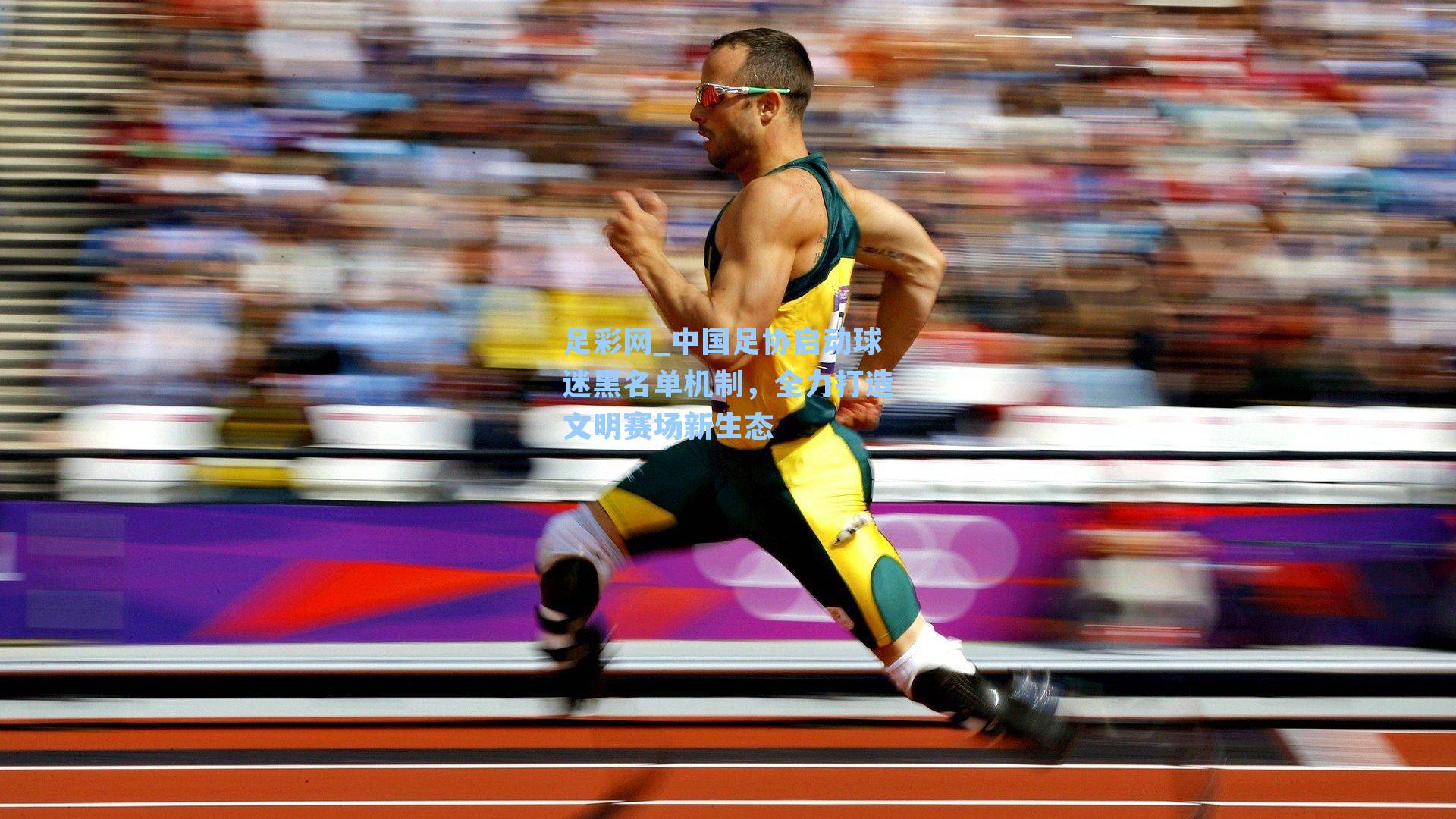 中国足协启动球迷黑名单机制,全力打造文明赛场新生态