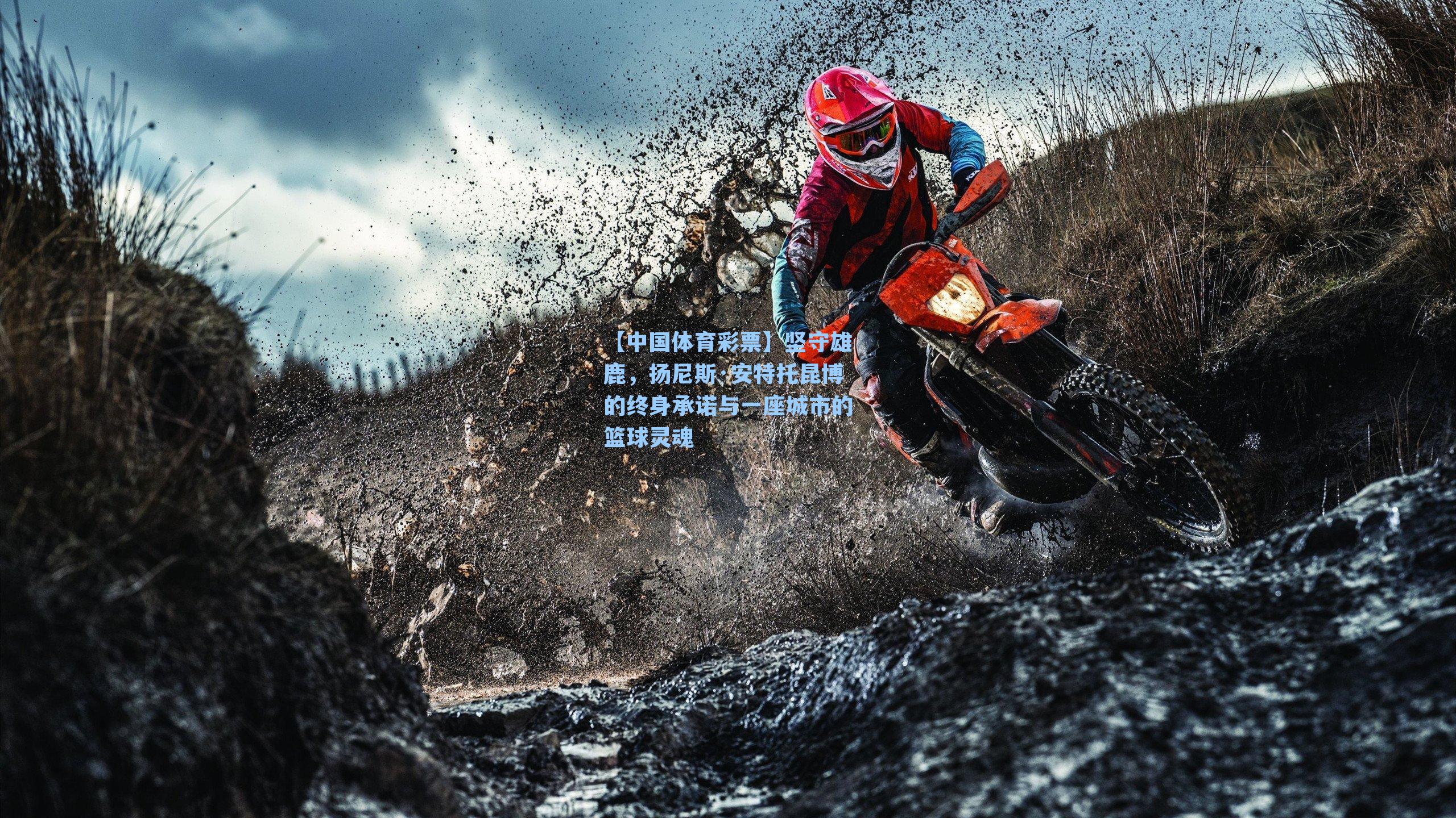 坚守雄鹿，扬尼斯·安特托昆博的终身承诺与一座城市的篮球灵魂